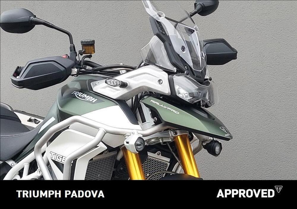 Triumph Tiger 900 Rally Pro (2020 - 23) (5)