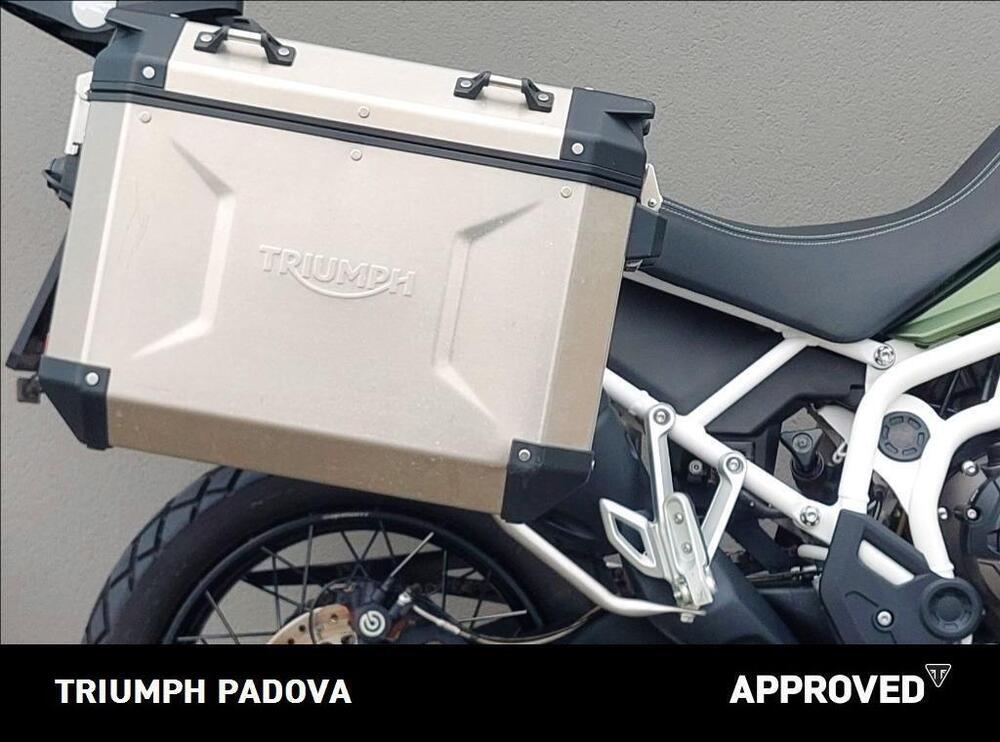 Triumph Tiger 900 Rally Pro (2020 - 23) (2)