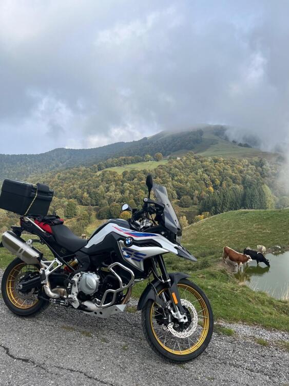 Bmw F 850 GS (2018 - 20)