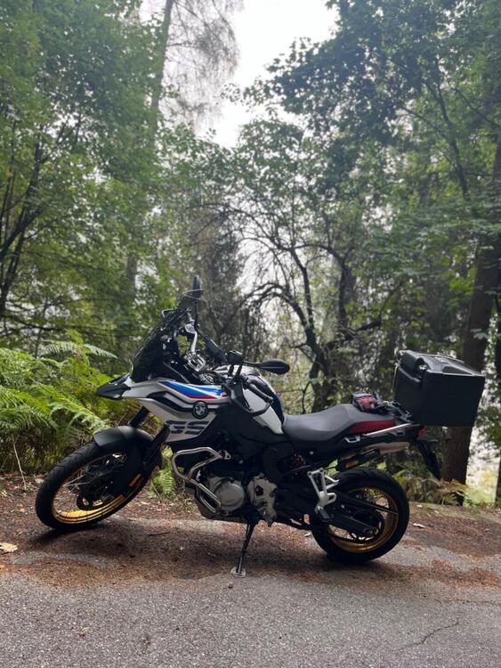 Bmw F 850 GS (2018 - 20) (3)