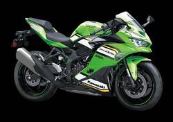 Kawasaki Ninja ZX-4RR (2024 - 25) nuova