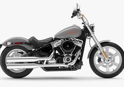 Harley-Davidson Softail Standard (2021 - 24) nuova