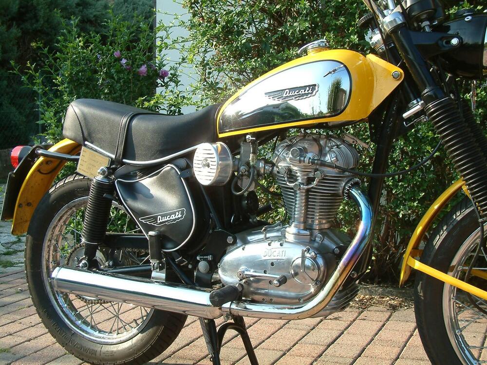 Ducati scrambler 350 (4)