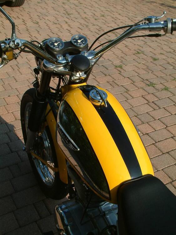 Ducati scrambler 350 (5)