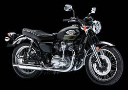 Kawasaki W 800 (2021 - 25) nuova