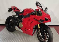 Ducati Panigale V4 S (2022 - 24) usata