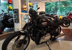 Triumph Bonneville T100 (2008 - 16) usata