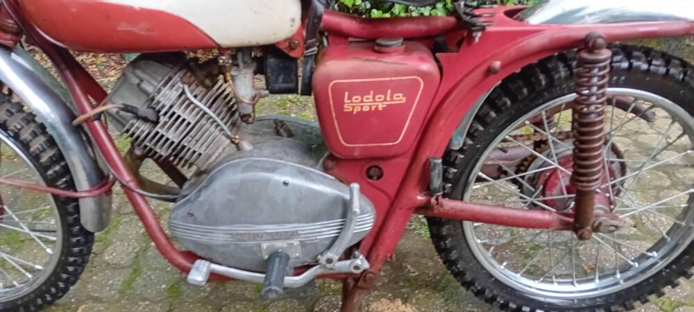 Moto Guzzi Lodola 175 (4)