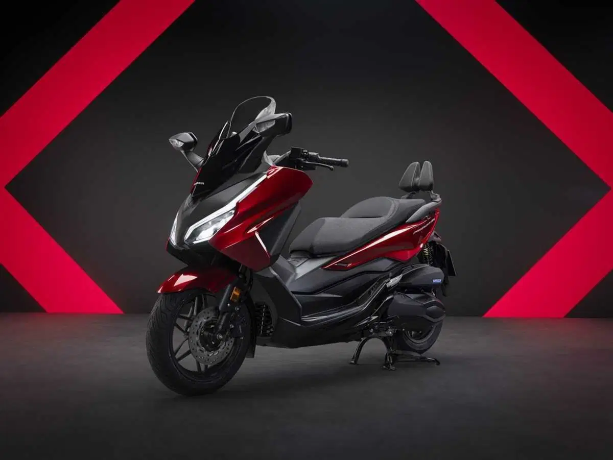 Honda rinnova la famiglia Forza che è sempre più GT. Ecco come cambia per il 2025 (2)