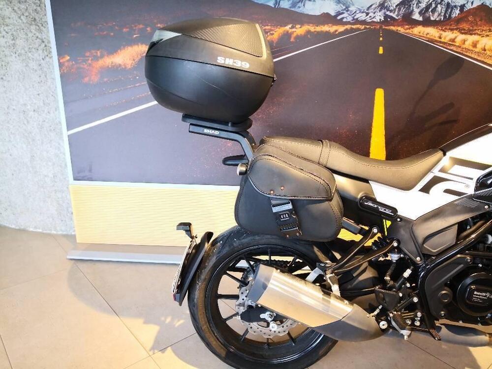 Benelli Leoncino 250 (2021 - 24) (5)