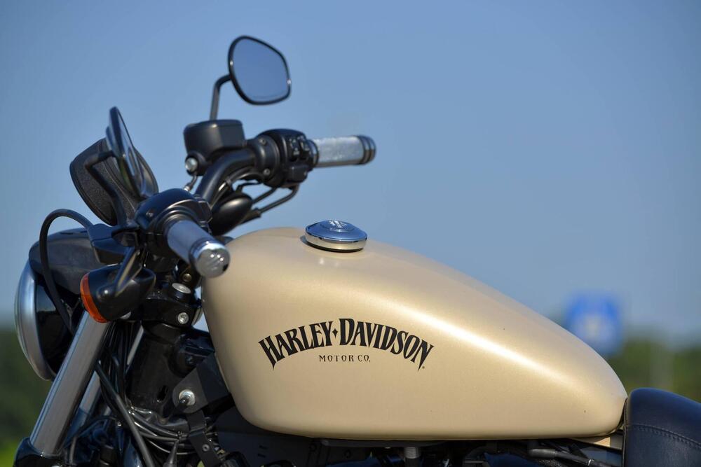 Harley-Davidson 883 Iron (2012 - 14) - XL 883N (2)