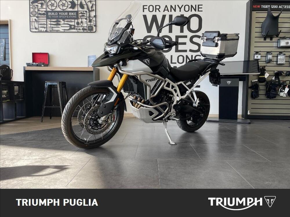 Triumph Tiger 900 Rally Pro (2024) (2)