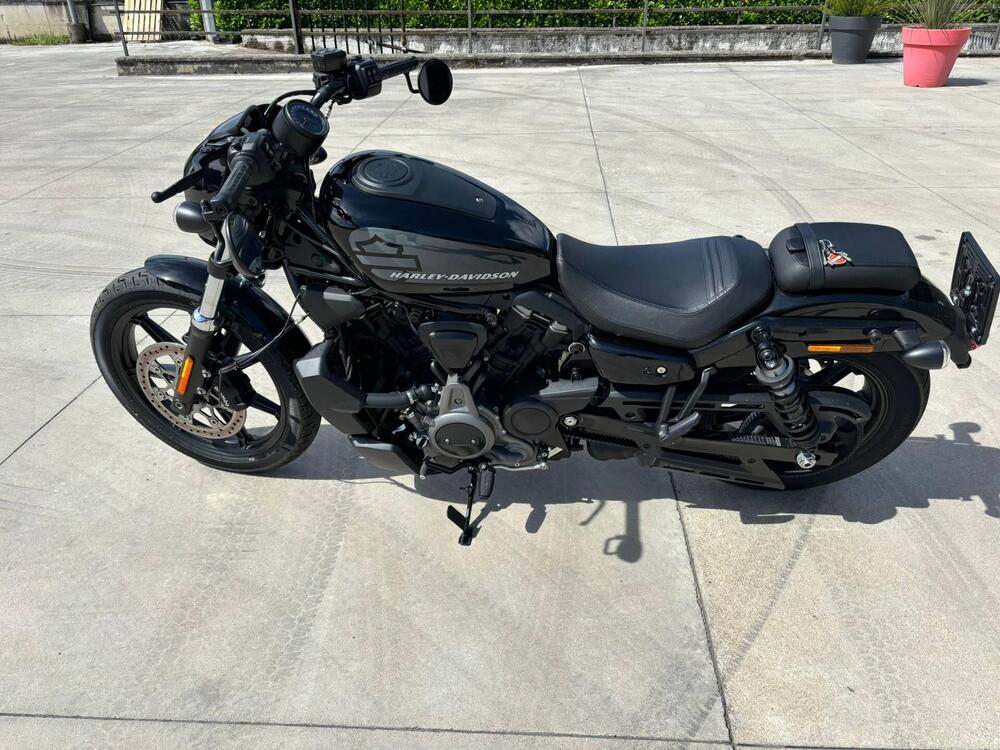 Harley-Davidson Nightster (2023 - 24)