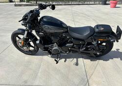 Harley-Davidson Nightster (2023 - 24) usata