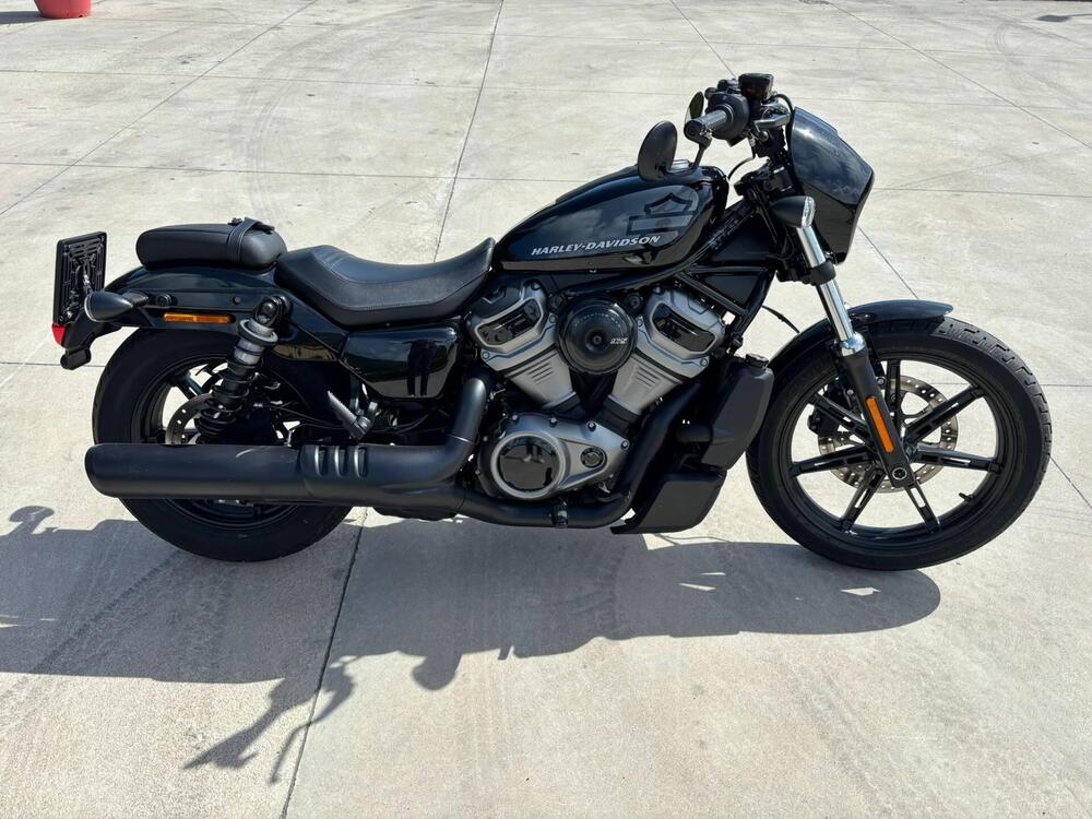 Harley-Davidson Nightster (2023 - 24) (4)