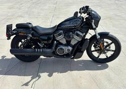 Harley-Davidson Nightster (2023 - 24) usata