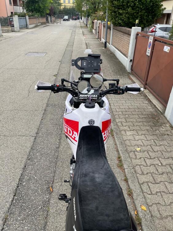 Honda Dominator 650 (3)