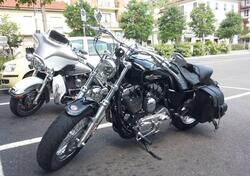 Harley-Davidson 1200 Custom (2007 - 13) - XL 1200C usata