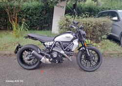 Ducati Scrambler 800 Icon (2023 - 24) usata