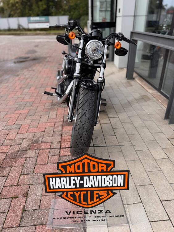 Harley-Davidson 1200 Forty-Eight (2010 - 15) (3)