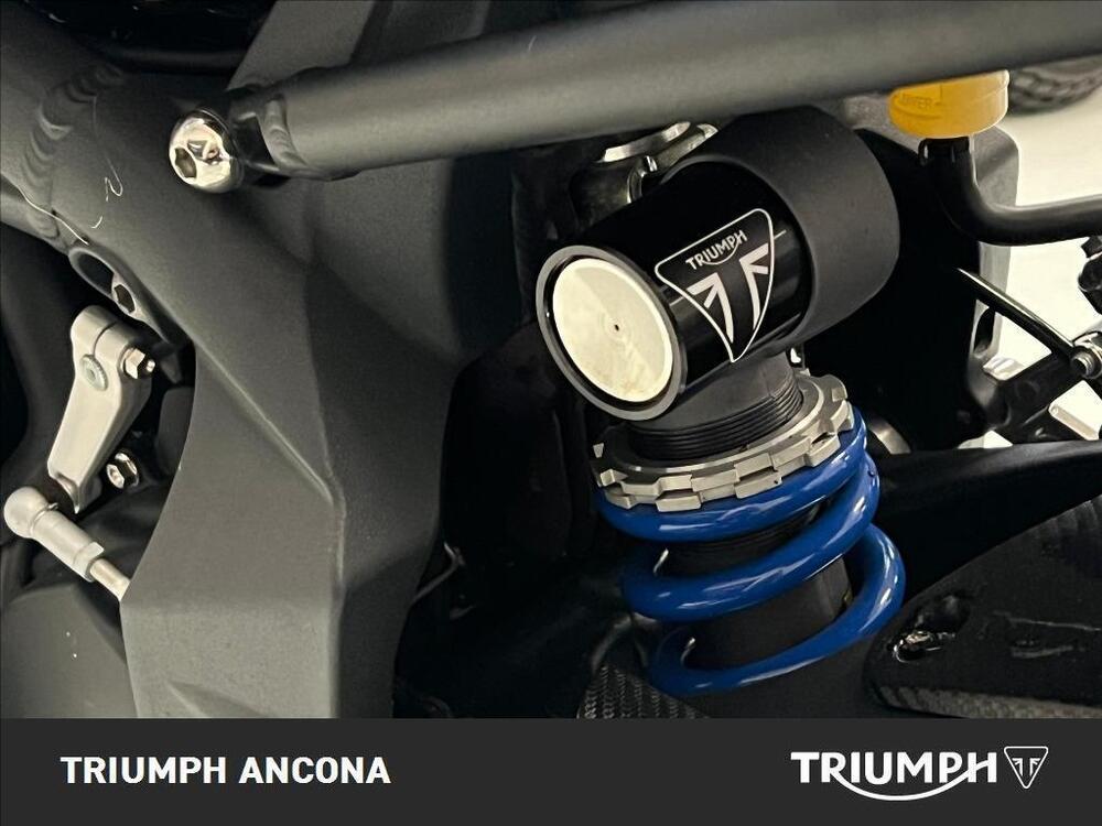 Triumph Street Triple R (2009 - 12) (4)