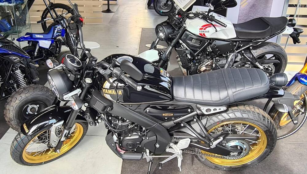 Yamaha XSR 125 (2021 - 24) (2)