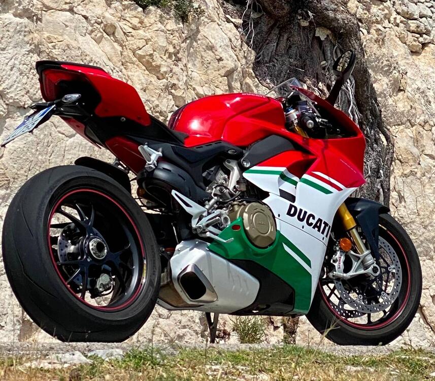 Ducati Panigale V4 S 1100 (2018 - 19)