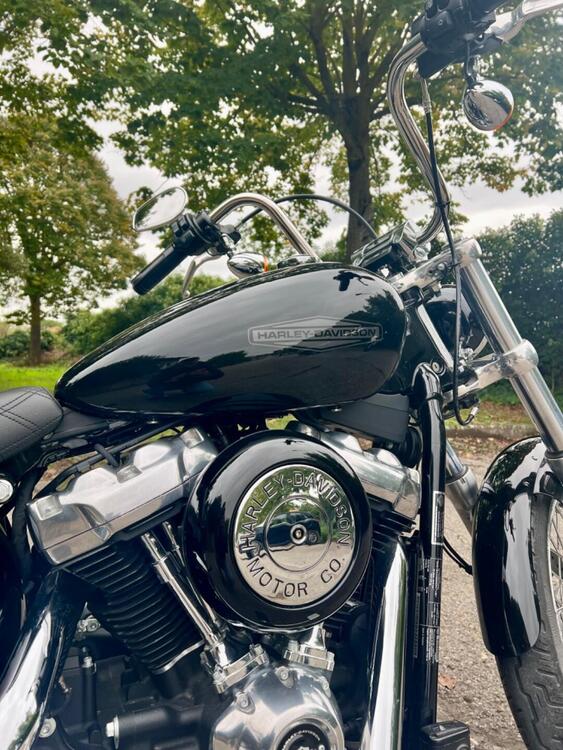 Harley-Davidson Softail Standard (2020) - FXST (2)