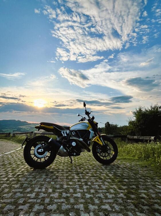 Ducati Scrambler 800 Icon (2023 - 24)