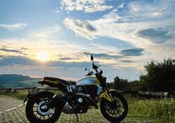 Ducati Scrambler 800 Icon (2023 - 24) usata