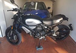 Ducati Scrambler 1100 Dark Pro (2020 - 24) usata