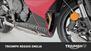 Triumph Daytona 660 (2024) (22)