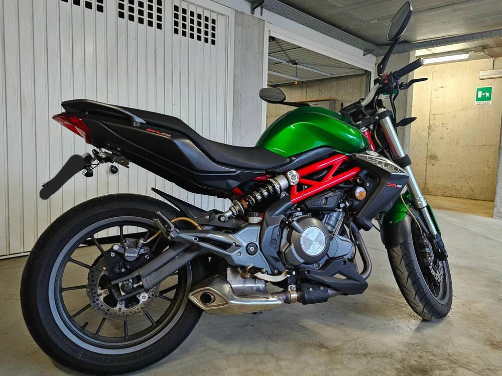 Benelli BN 302 (2014 - 16) (2)