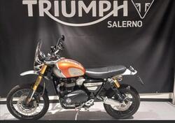 Triumph Scrambler 1200 XE Gold Line Edition (2021 - 22) usata