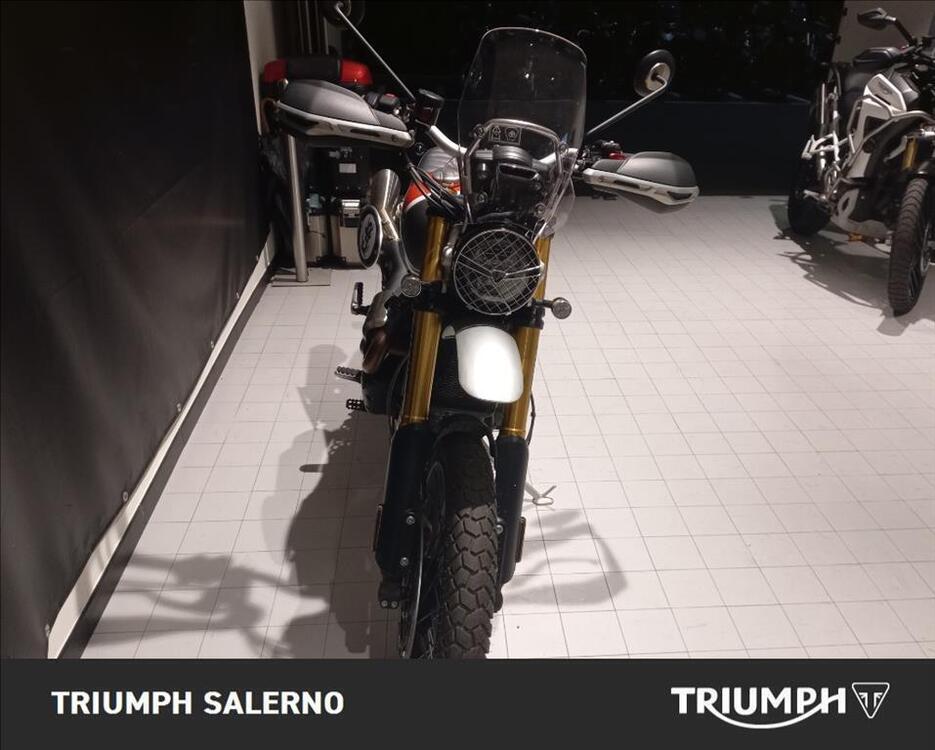 Triumph Scrambler 1200 XE Gold Line Edition (2021 - 22) (5)