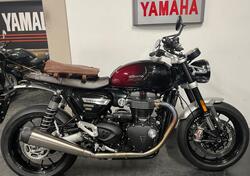 Triumph Speed Twin 1200 (2021 - 24) usata