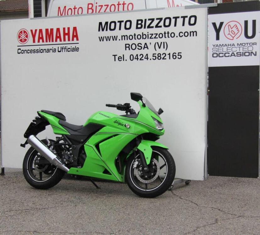 Kawasaki Ninja 250 R (2007 - 13) (3)