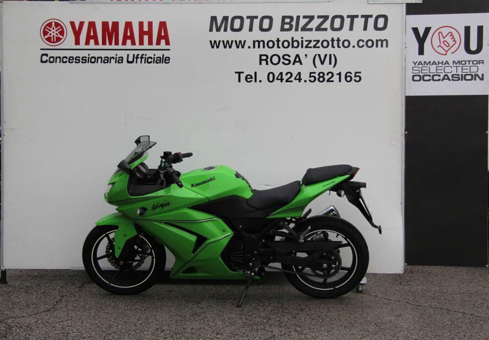 Kawasaki Ninja 250 R (2007 - 13) (2)