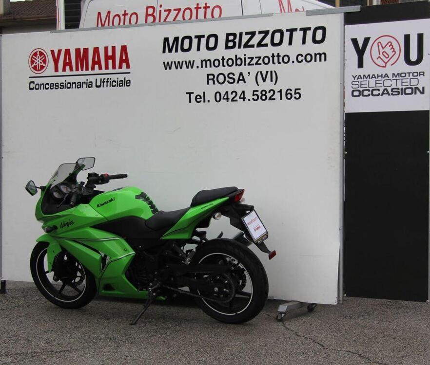 Kawasaki Ninja 250 R (2007 - 13) (4)