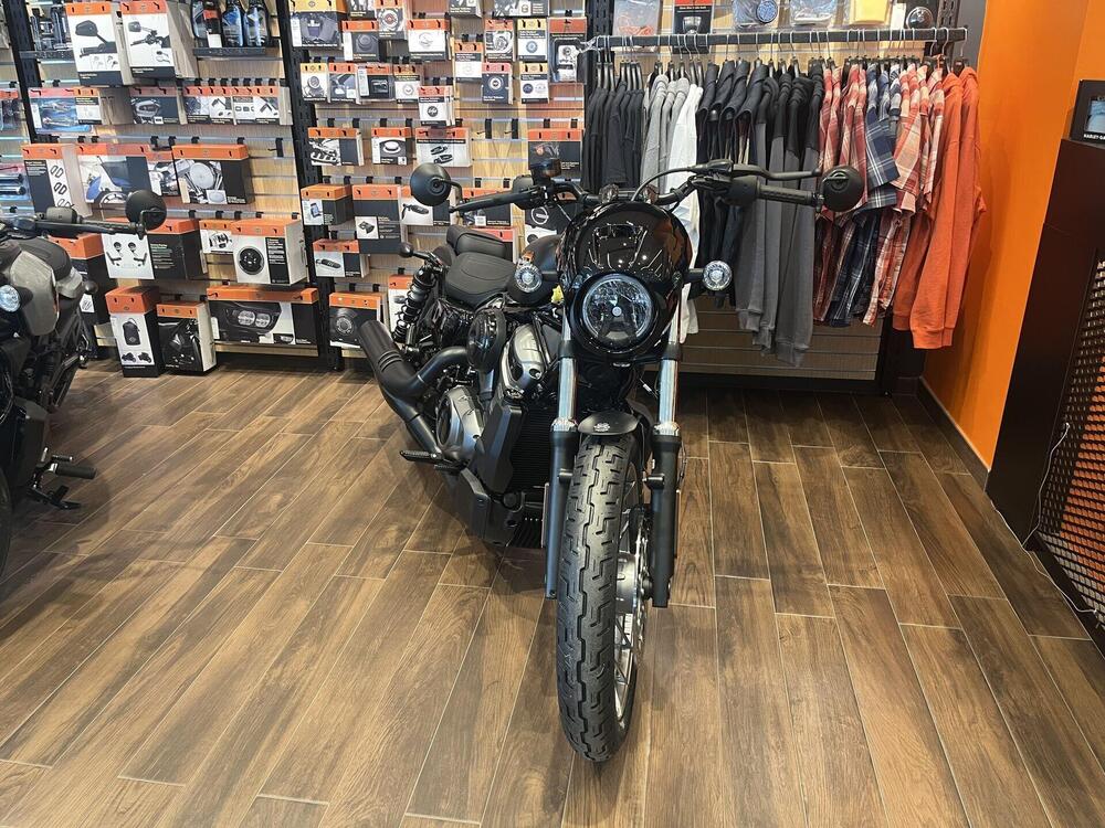 Harley-Davidson Nightster (2023 - 24) (2)