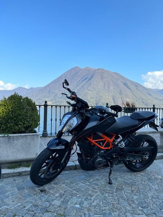 KTM 390 Duke (2021 - 23) (2)