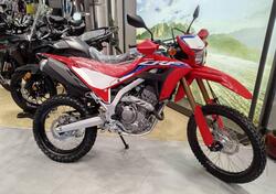 Honda CRF 300 L (2021 - 24) nuova