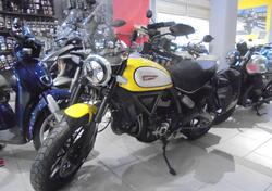 Ducati Scrambler 800 Icon (2021 - 22) usata