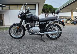 Triumph Bonneville T120 (2021 - 24) usata