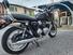 Triumph Bonneville T120 (2021 - 24) (8)