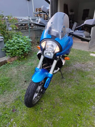 Kawasaki Versys 650 (2006 - 09) usata