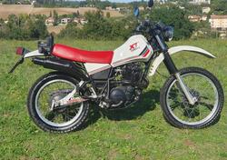 Yamaha XT 400 usata