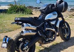 Ducati Scrambler 1100 Dark Pro (2020 - 24) usata