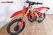 Honda CRF 250 RX (2019) (8)