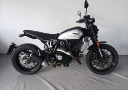 Ducati Scrambler 800 Icon (2023 - 24) usata